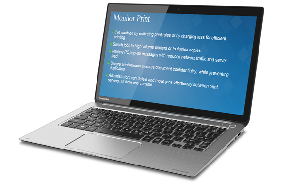  Monitor Toshiba Software Partner