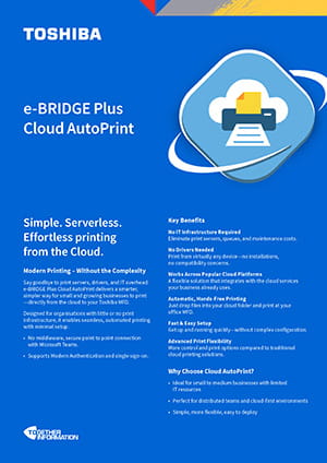 e-BRIDGE Plus Cloud Autoprint